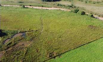 Imagem 7: Fazenda de 27 há em Oliveira MG