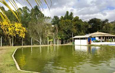 Imagem 6: Sítio de 5 ha em Passa Tempo MG