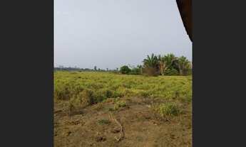 Imagem 6: Sítio em Triunfo