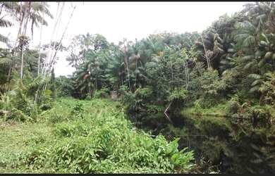 Imagem 4: TERRENO BAIA DO SOL - MOSQUEIRO 10 HECTARES