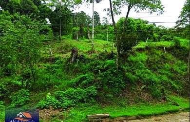 Imagem 6: Terreno na Parada Frossard em Amparo, Nova Friburgo. Sua casa em meio a natureza!!