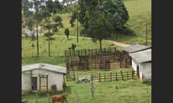 Imagem 4: Fazenda de 78 ha em Itaverava