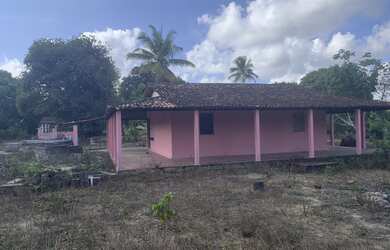 Imagem 5: Vendo terreno com 6 hectares- Engenho Monjope