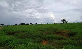 Imagem 7: Fazenda em Barra do Garças-MT