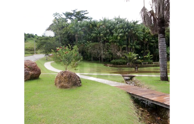 Imagem 5: Vende-se Terreno/Lote