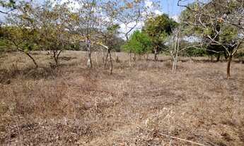 Imagem 6: Fazenda de 14 ha em Itaguara no Rio Para