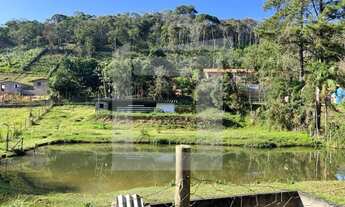 Imagem 4: Sítio à Venda em Juquitiba-SP com 6,5 Alqueires, 3 belos lagos e nascente!