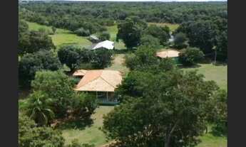 Imagem 3: Fazenda em Poconé MT