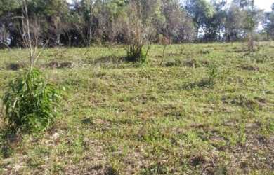 Imagem 2: Terreno p/ sitio