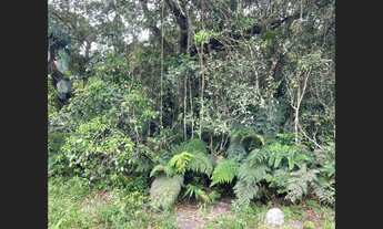 Imagem 4: Terreno escriturado em Itanhaém