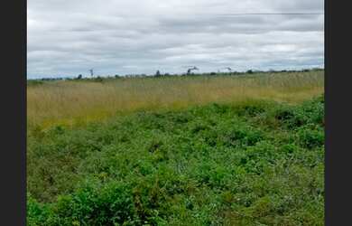 Imagem 2: Terreno de 8.600 m² com vocação agrícola em Senhor do Bonfim