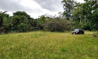 Imagem 3: R$160 mil Fazenda 118 hectares em Marapanim região pra criação de camarão