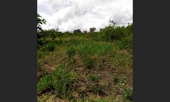 Imagem 6: Terreno Plano em Biritinga-Ba