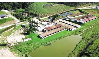 Imagem 7: GRANJA UPL (Unidade Produtora de Leitões) em Salete - SC