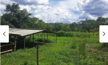 Imagem 5: Fazendinha de 27 hectares próximo A Belo horizonte