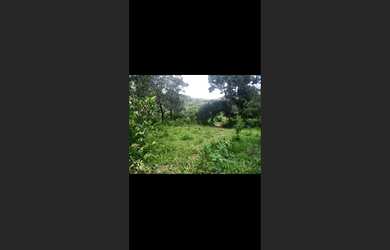 Imagem 7: Chácara de 10 mil mt em Passa Tempo MG