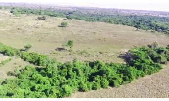 Imagem 3: 116 Alqs Excelente Em Tudo Região Bandeirantes do TO