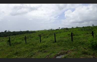 Imagem 5: Fazenda 100 alqueires na Br316 com 80% de abertura em pasto R$7 milhões