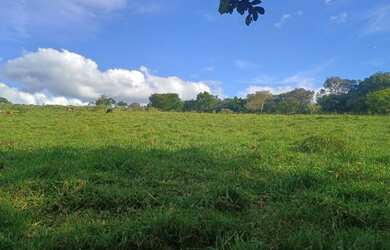 Imagem 2: Terreno de 50 há em Passa tempo MG