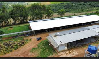 Imagem: Fazenda de 283 há em São João del rei