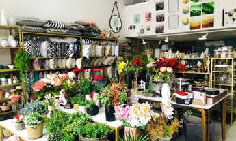 Imagem 7: Vendo linda loja decoração região pampulha