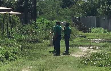 Imagem 6: Terrenos em Itaparica ponta de areia