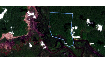 Imagem 2: Área de Manejo Florestal com 390 hectares em Manacapuru-Amazonas