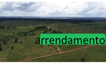 Imagem 2: 185 Alqs Arrendamento Disponivel Pra Soja Vale do Araguaia TO