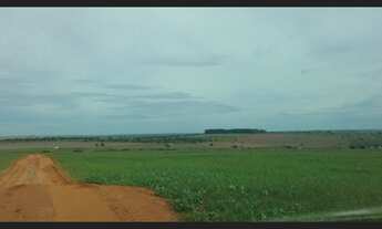 Imagem 4: Fazenda com 303 alq, dupla aptidao