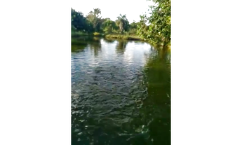 Imagem 4: 100 Alqs Formada Beira Rio Região Barra do Ouro TO