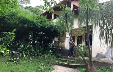 Imagem 6: Sitio 6 ha – estrada Teresina-União