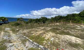 Imagem 7: Terreno na margem da Lagoa do Urubu, lado da sombra. 10.000m²
