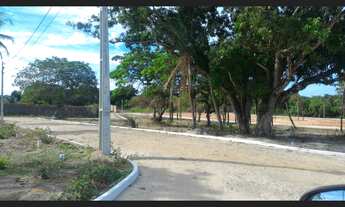 Imagem 3: Lotes do Parque Dom Pedro em Itaitinga