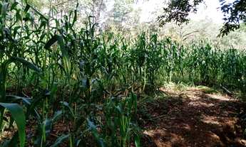 Imagem 3: Terreno de 9 há em Itaguara MG