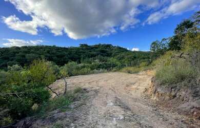 Imagem 7: Lote 2Ha na Maciel