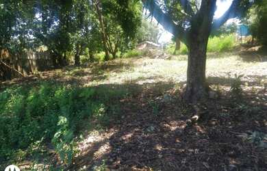 Imagem 6: Terreno para venda no município de Lidianópolis (Porto Bá