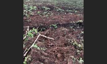 Imagem 4: 720 Alqs Ótima Água Terra e Logística Região Mansinha TO