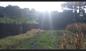 Imagem 6: Chácara em Santa Maria Do Herval na Localidade De Padre Eterno Ilges