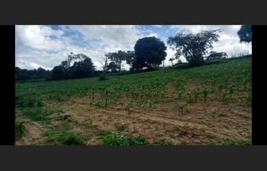 Imagem 4: Fazenda de 55 há em Cláudio MG