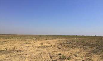 Imagem 5: 247 Alqs Arrendamento Disponivel Pra Soja Santa Maria TO