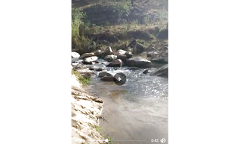 Imagem 6: Fazenda de 70 ha em Carmopolis de Minas