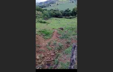 Imagem 6: Chácara 2 alqueires a 5 Kilometros da cidade jardim alegre a 2 km do asfalto