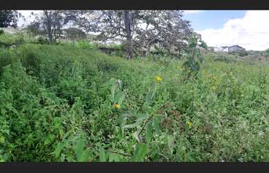 Imagem 7: Terreno à venda - Garanhuns -PE
