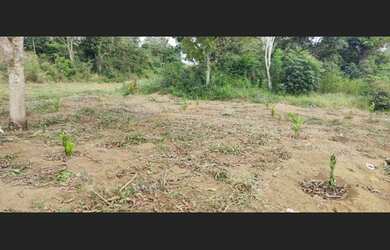 Imagem 5: Vendo Chácara de 5.000m² com uma Casa de 110m² em Barra do Choça