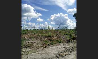 Imagem: Fazenda 3656 hectares 2.300.000,00 no Pará