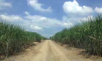 Imagem 2: 44 alq em Charqueada/Piracicaba