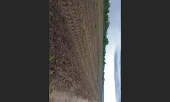 Imagem 3: 720 Alqs Ótima Água Terra e Logística Região Mansinha TO