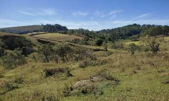 Imagem 3: Terreno de 10 há em Oliveira