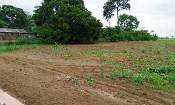 Imagem 5: VENDO TERRENO COM 2.500M² E ÓTIMA LOCALIZAÇÃO