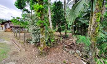 Imagem 7: Casa com amplo terreno à venda em Pirabeiraba - JoinvilleSC